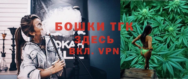 твердый Армянск
