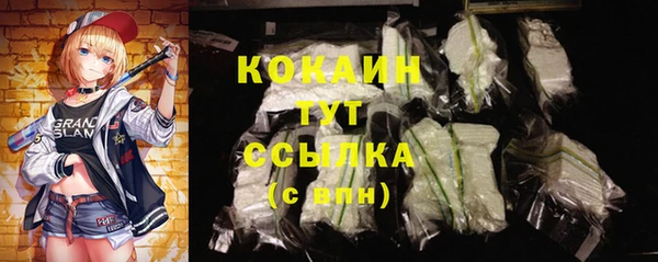 Альфа ПВП Аркадак