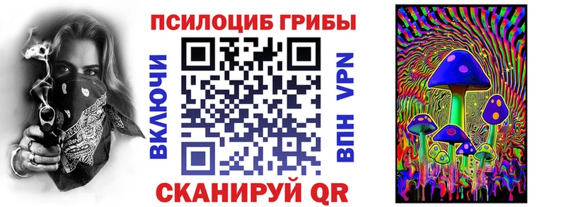 Купить где  Бирск  Псилоцибиновые грибы Psilocybe 